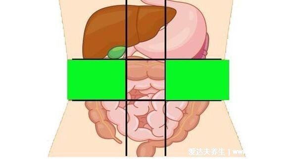 肾结石会引起身体哪个部位疼痛图片,注意肾疼和腰疼的区别图解