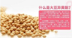 大豆异黄酮哪个牌子好，绿色非转基因大豆