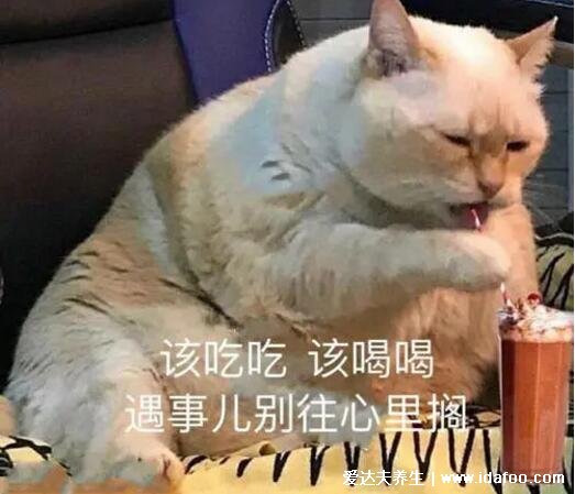 人为什么越累越胖,压力荷尔蒙增多是肥胖的万恶之源(附减肥法)