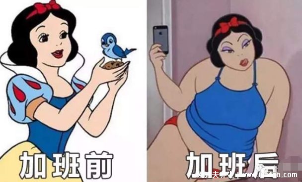 人为什么越累越胖,压力荷尔蒙增多是肥胖的万恶之源(附减肥法)