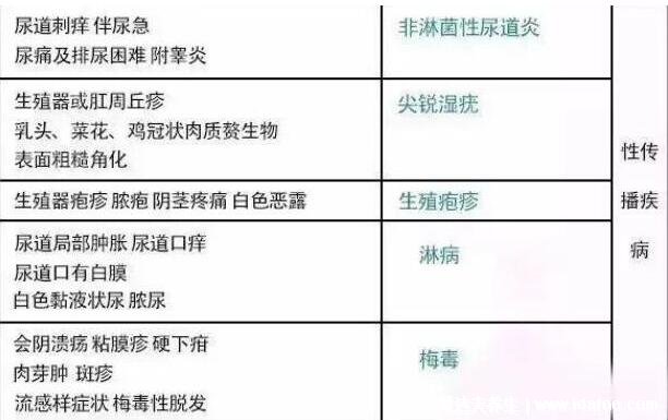 男女淋病的早期症状图片真人图,生殖器红肿有脓性分泌物
