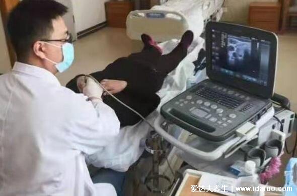 千万不要做甲状腺穿刺,能做穿刺但医生不建议六类人做