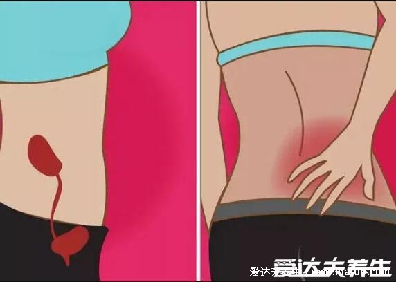 人体器官肾的位置图片,在腰部脊柱两侧(肾病变敲击肾痛)