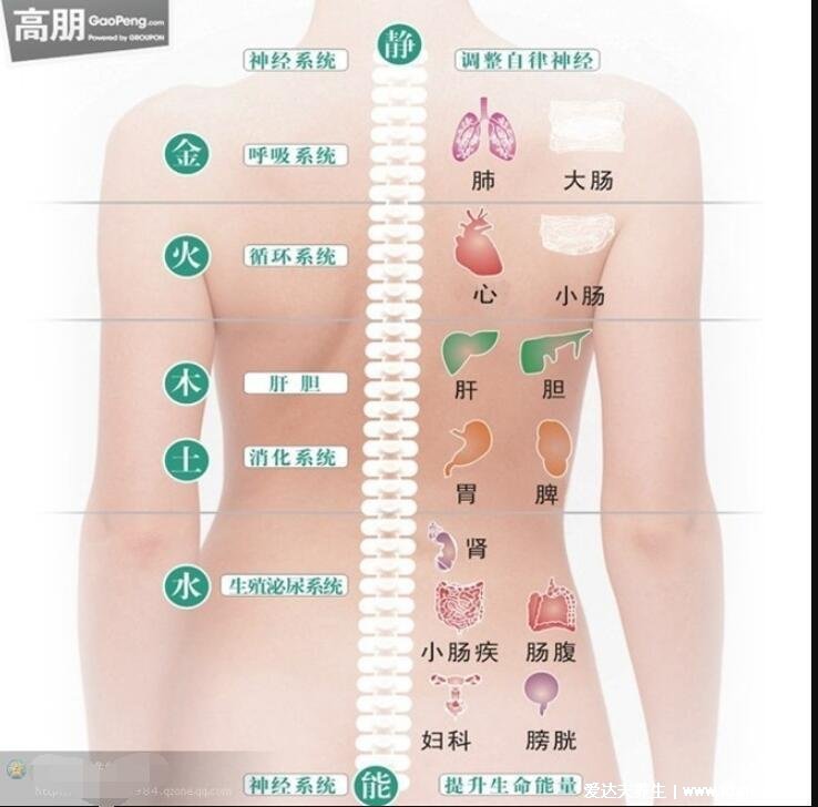 注意后背疼的原因,5个疾病会引起后背疼(警惕风湿病以及心脏问题)