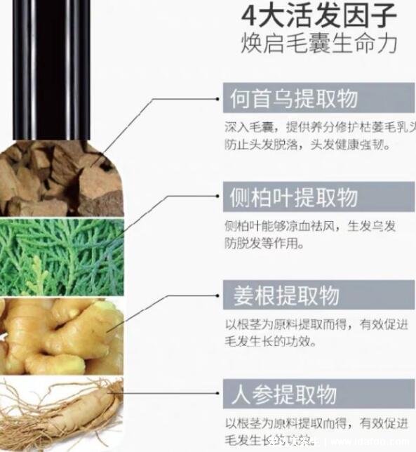 仁和匠心防脱育发液效果怎样,央视已曝光大家擦亮眼睛