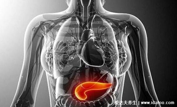 胰腺炎是什么病严重吗?可以治好吗(慢性胰腺炎无法痊愈)