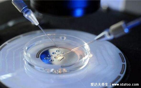 10个人做试管几个能成功,3-7人受很多因素影响(如何提高成功率)