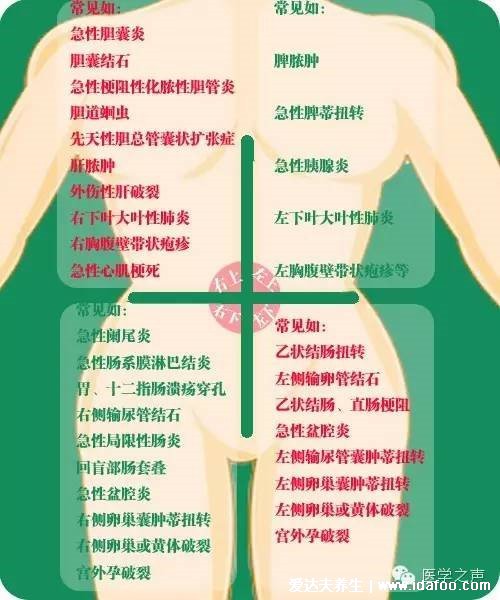 女性阑尾炎的疼痛位置图片,会转移性右下腹按压痛(刚开始上腹肚脐疼)