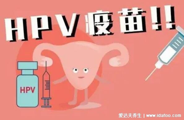 hpv疫苗接种禁忌症和注意事项,10种情况不能打宫颈癌疫苗