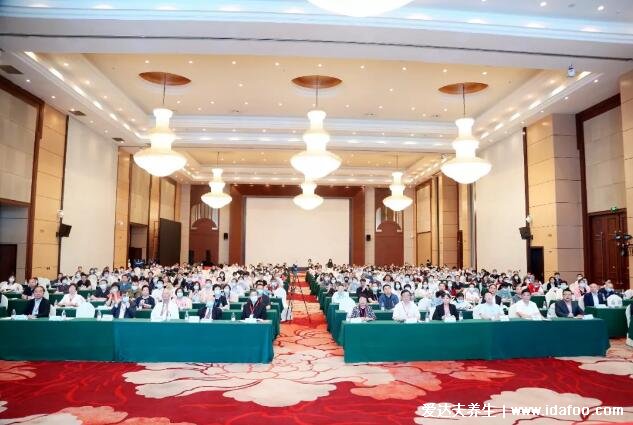 焦中医肝胆病学科发展丨片仔癀参与中华中医药学会第二十二次全国中医肝胆病学术会议