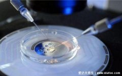 10个人做试管几个能成功，3-7人受很多因素影