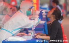 核酸检测几小时出结果,报告多久能出来(最