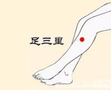 找足三里最笨的方法，足三里的准确位置图