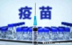 5种必须打的自费疫苗,手足口病疫苗要打