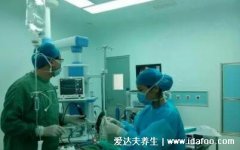 切除腺样体后悔到家了,让孩子的免疫力降