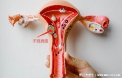 我灸掉了我的子宫肌瘤,灸掉的最大有10cm效