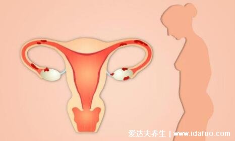 受孕生男孩的三个最佳时间点,排卵期最好(春天更容易生儿子)