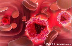 最难治的血液病排名，急性白血病平均生存