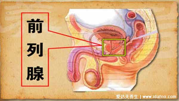 前列腺炎一杯水自测方法,其实三杯尿更可靠(专业医生推荐)