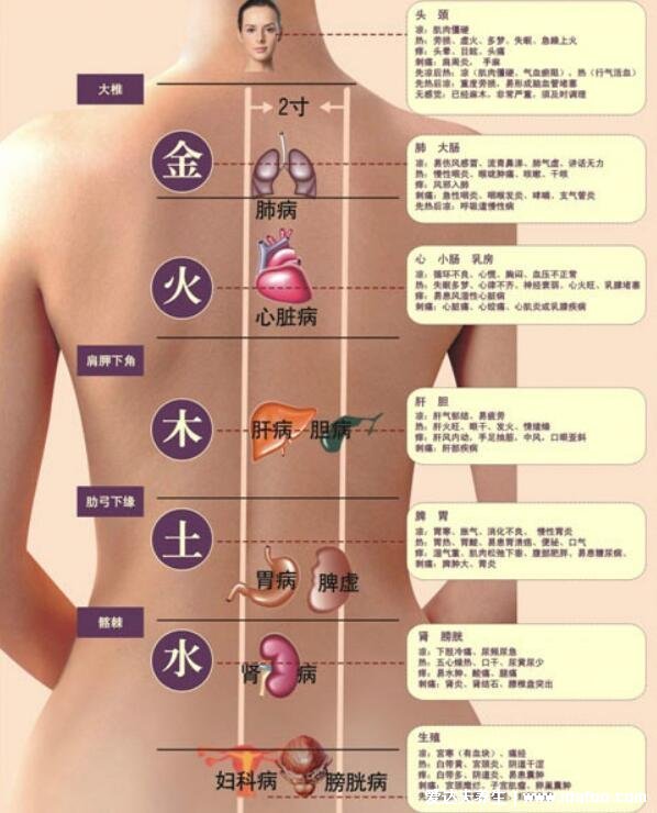 右后背痛病情对照图,需警惕四种病(女性更易得风湿)