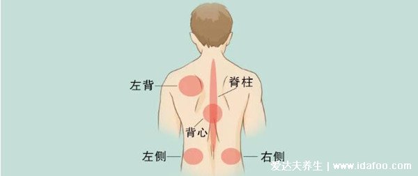 右后背痛病情对照图,需警惕四种病(女性更易得风湿)