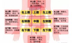 男性左上腹疼痛位置图，腹部疼痛地图告诉