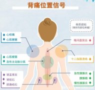 后背疼痛图片位置示意图及病情对照图，警