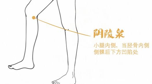 前列腺按摩手法和位置图解,让你远离前列腺病的骚扰