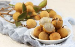 女人补气血吃什么水果好见效快,龙眼桑葚