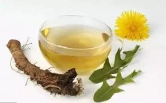蒲公英根茶的副作用和禁忌,这几种人不宜