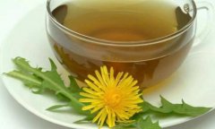 蒲公英根茶的作用与功效,喝蒲公英根茶的