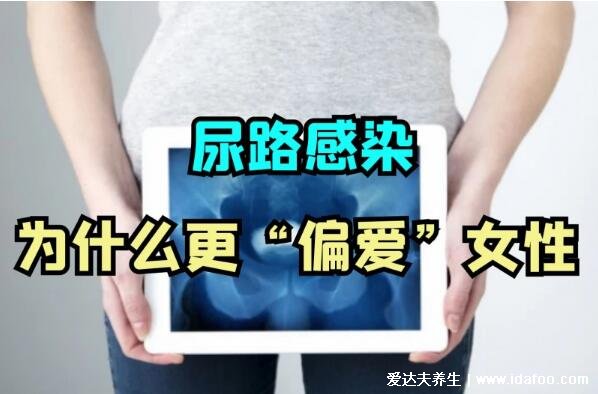 尿路感染的症状及原因,尿路感染的治疗方法(女性必看)