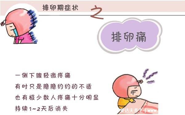 排卵期有什么表现症状,白带增多呈蛋清状能拉丝(6大症状)