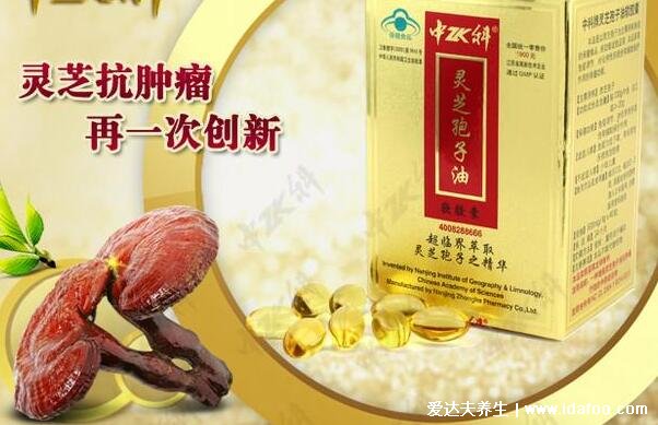 灵芝孢子油的作用和功效,10大功效没有副作用久服不伤身