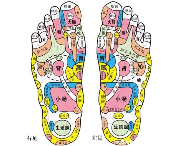 脚底疼痛部位图解,脚心疼很可能是足底筋膜炎(这些位置疼需注意)