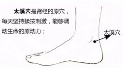 超详细脚底穴位图，十大养生穴经常按保健