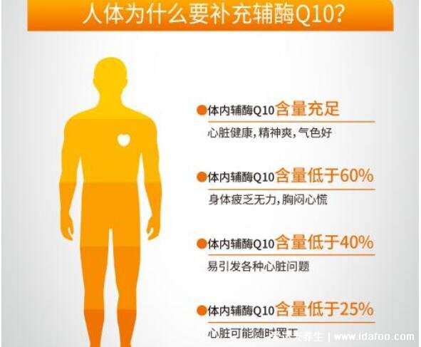 辅酶q10的作用与功效,万能营养素有四大功效(附副作用)