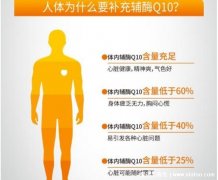 辅酶q10的作用与功效,万能营养素有四大功
