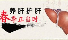 养肝护肝的方法和饮食，多喝水保持好心情