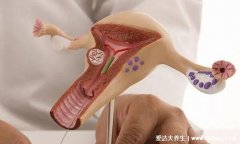 石女是怎样的身体，不来月经无法性交更不