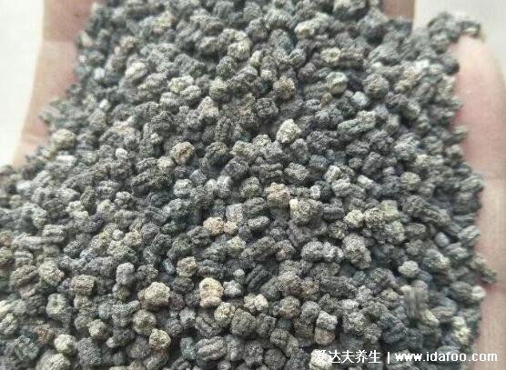 蚕沙是什么及功效与作用介绍,为蚕幼虫粪便可治风寒感冒