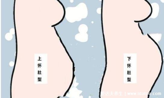 小窍门测男孩还是女孩,自己从B超单也能看出宝宝性别