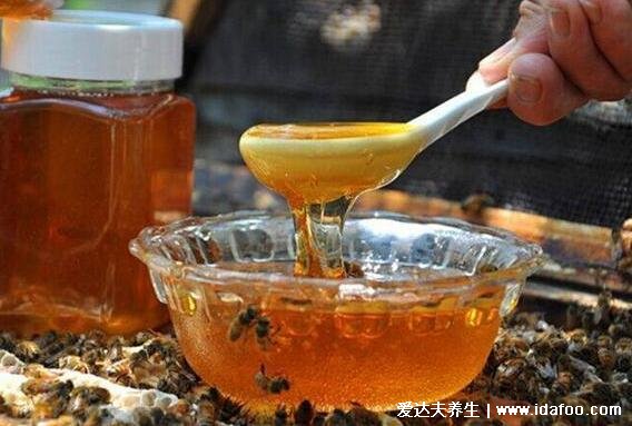 解酒最快的方法15分钟,除了蜂蜜水还有这四种方法