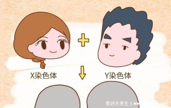 10秒测出怀男孩和女孩的5大方法,可以通过晨尿来判断男女