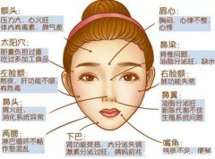脸上长痘不同位置图解,两颊长痘对应左肝