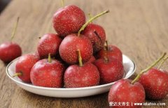 胆固醇偏高吃什么食物可以降胆固醇,山楂