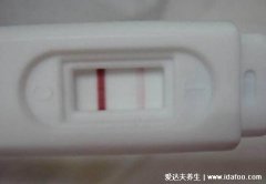 验孕棒不准六种情况，除了尿液稀释以外还