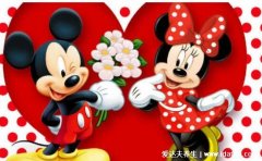 米奇是男宝还是女宝,医生的九大暗语告诉