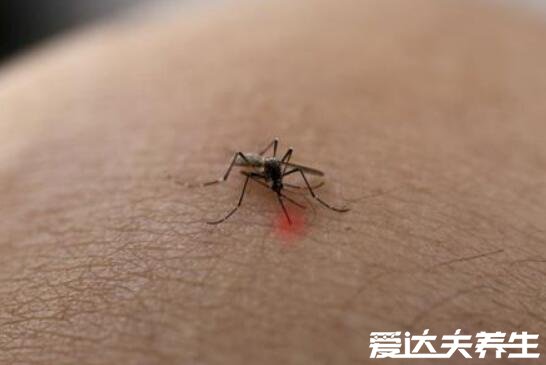 身上起红疙瘩很痒图片及原因,可能是湿疹引起的(四大原因)