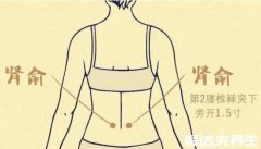 肾俞穴位位置图，经常按摩可以延缓衰老改